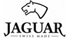 Логотип бренда Jaguar